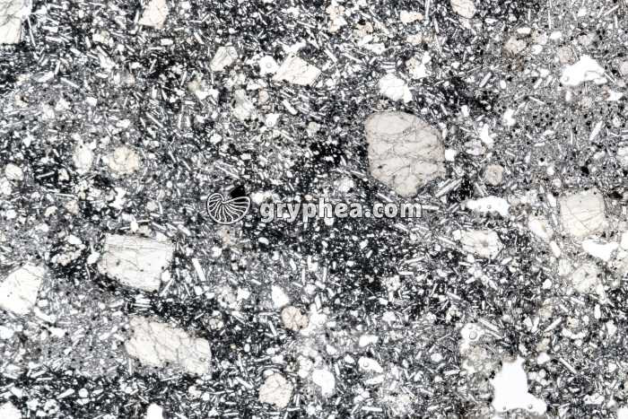 Basalte LPNA x3 - gryphea.org